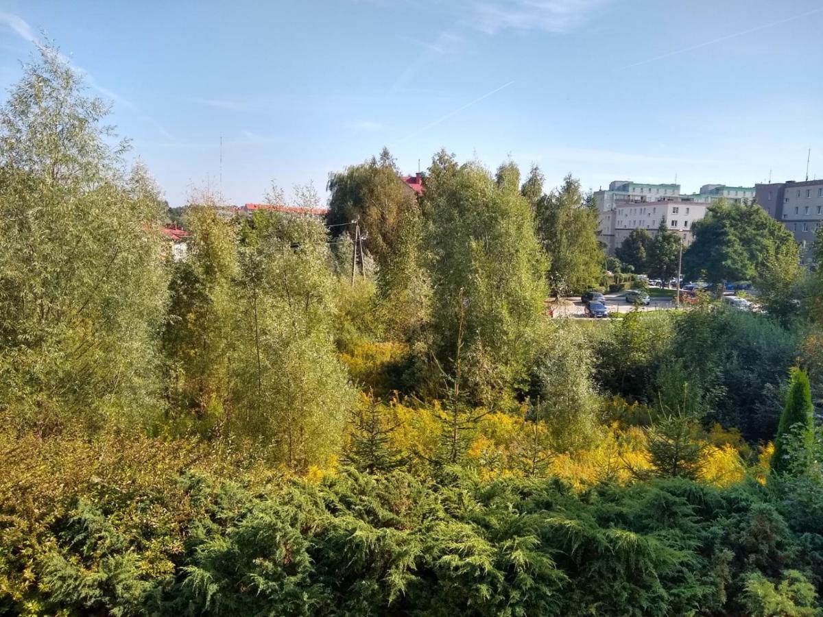 Green Apartment Z Bezplatnym Parkingiem Olsztyn  Dış mekan fotoğraf